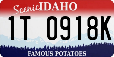 ID license plate 1T0918K
