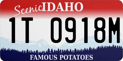 ID license plate 1T0918M