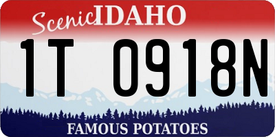 ID license plate 1T0918N