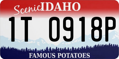 ID license plate 1T0918P