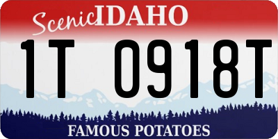 ID license plate 1T0918T