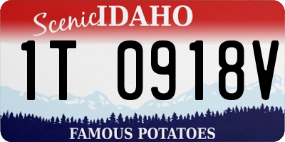 ID license plate 1T0918V