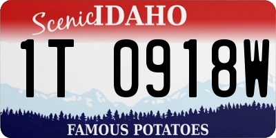 ID license plate 1T0918W