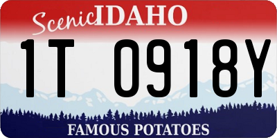 ID license plate 1T0918Y