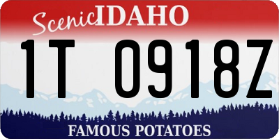 ID license plate 1T0918Z