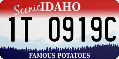 ID license plate 1T0919C