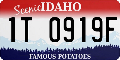 ID license plate 1T0919F