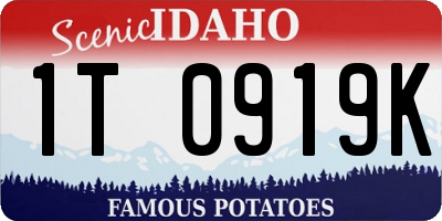 ID license plate 1T0919K