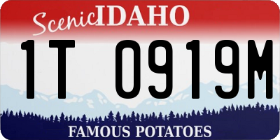 ID license plate 1T0919M