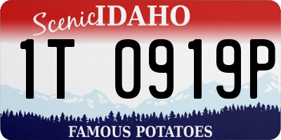 ID license plate 1T0919P