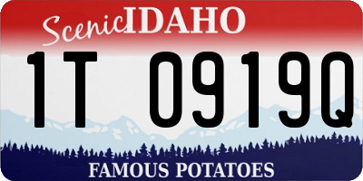 ID license plate 1T0919Q