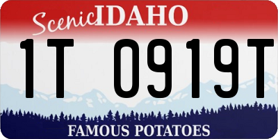 ID license plate 1T0919T