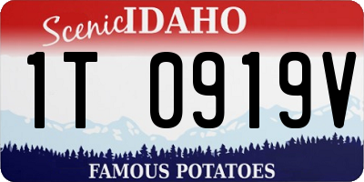 ID license plate 1T0919V