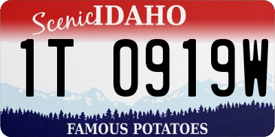 ID license plate 1T0919W
