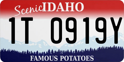 ID license plate 1T0919Y