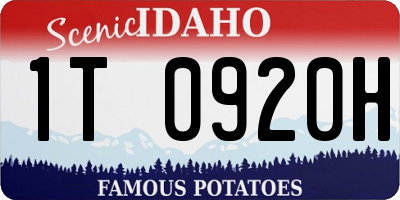 ID license plate 1T0920H