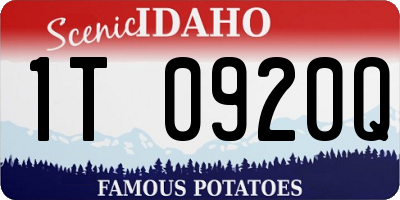 ID license plate 1T0920Q
