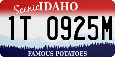 ID license plate 1T0925M