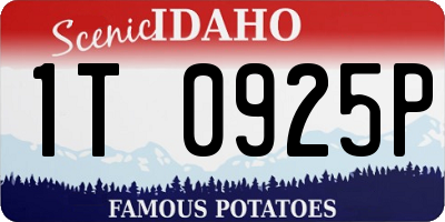 ID license plate 1T0925P