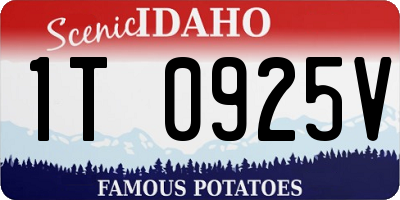 ID license plate 1T0925V