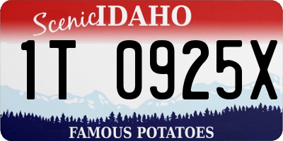 ID license plate 1T0925X
