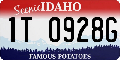 ID license plate 1T0928G