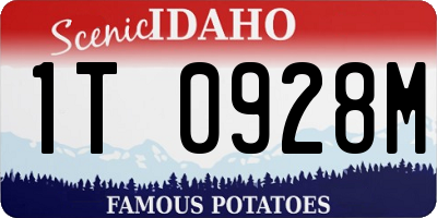 ID license plate 1T0928M