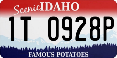 ID license plate 1T0928P