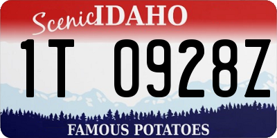 ID license plate 1T0928Z