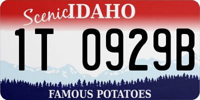 ID license plate 1T0929B