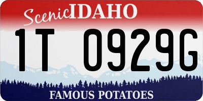 ID license plate 1T0929G