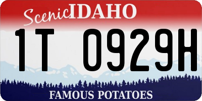 ID license plate 1T0929H