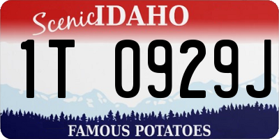 ID license plate 1T0929J