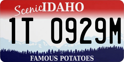 ID license plate 1T0929M