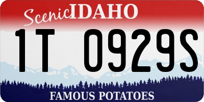 ID license plate 1T0929S