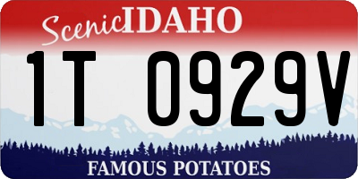 ID license plate 1T0929V