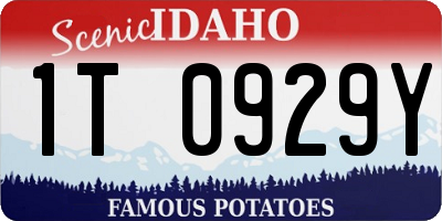 ID license plate 1T0929Y