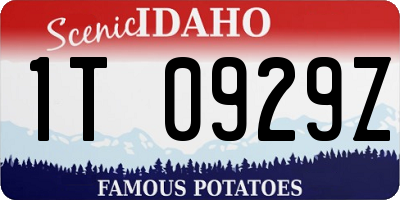 ID license plate 1T0929Z
