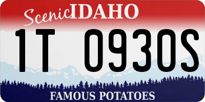 ID license plate 1T0930S