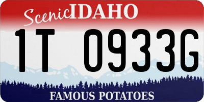ID license plate 1T0933G