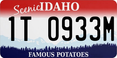 ID license plate 1T0933M