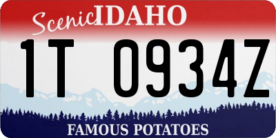 ID license plate 1T0934Z