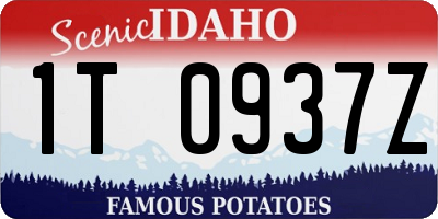 ID license plate 1T0937Z