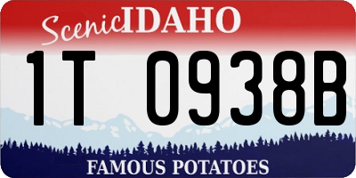 ID license plate 1T0938B