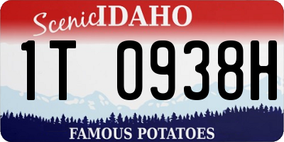 ID license plate 1T0938H