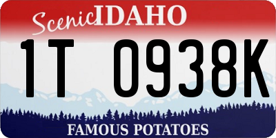 ID license plate 1T0938K