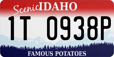 ID license plate 1T0938P