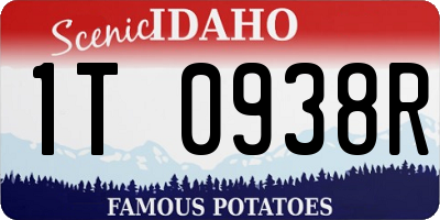 ID license plate 1T0938R