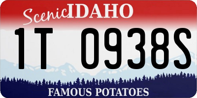 ID license plate 1T0938S