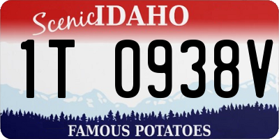 ID license plate 1T0938V